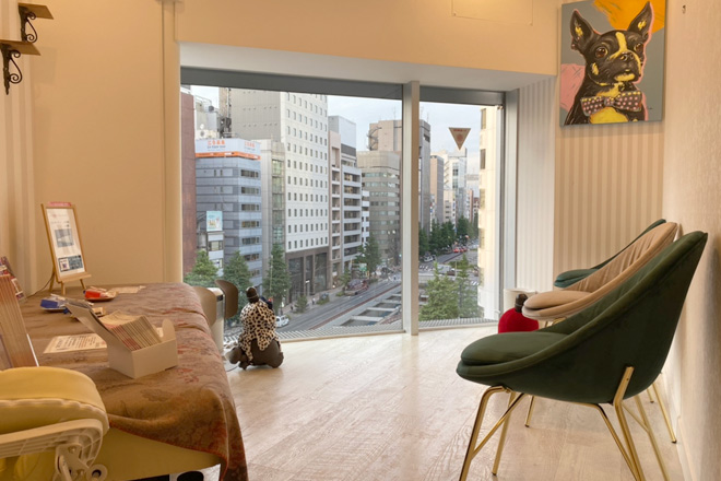 東京素肌クリニック